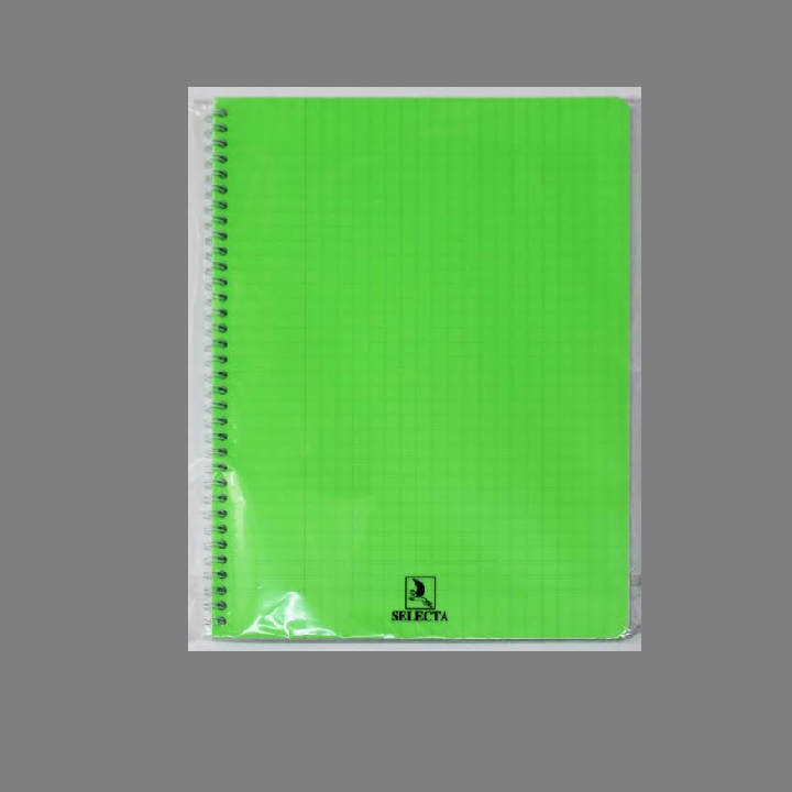 image Cahier 100P Selecta