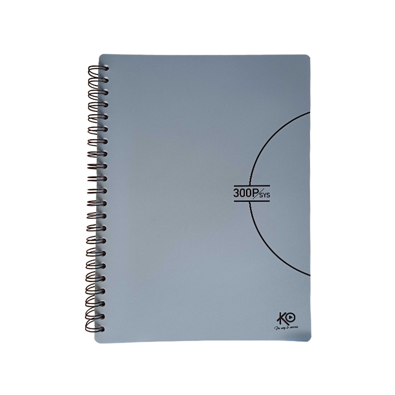 image Cahier 300 P