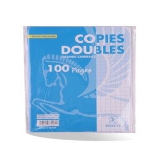 Image Copie 100 P Pm