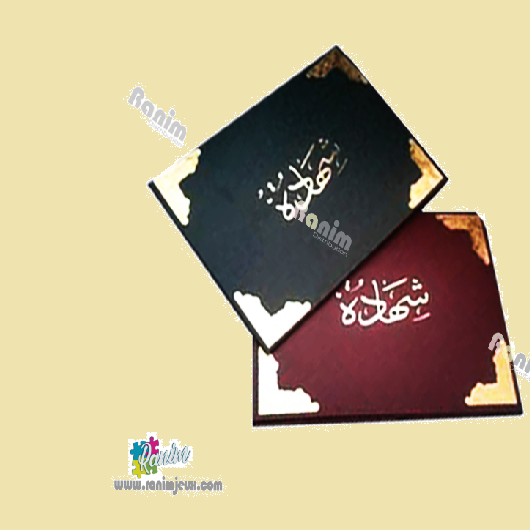 image Pote Atistation Velour